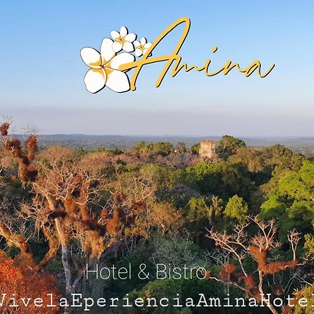 Amina Inn Флорес Екстериор снимка